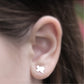 Texas State Shaped Earrings